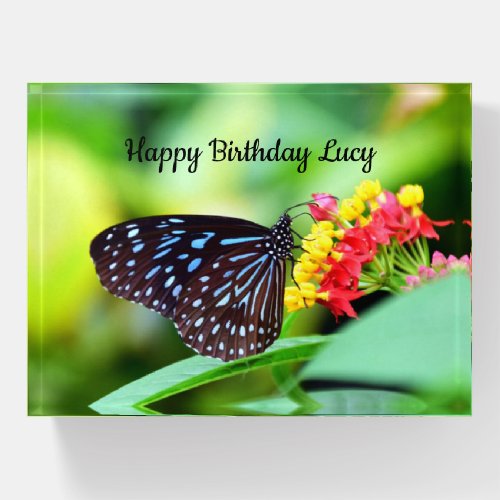 Happy Birthday Butterfly Paperweight