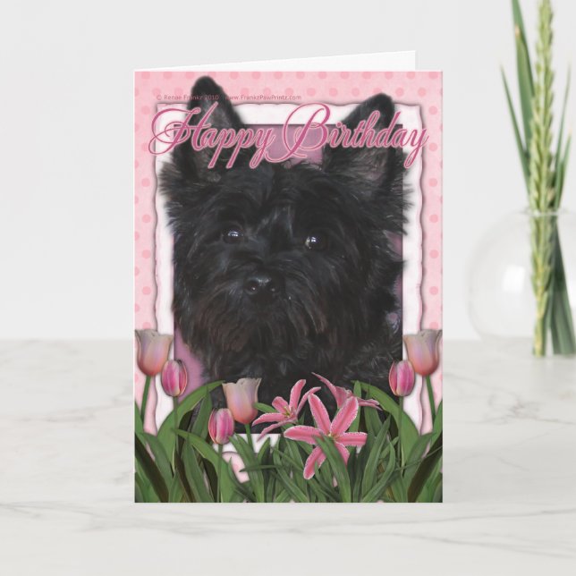 Happy Birthday - Cairn Terrier - Rosco Card (Front)