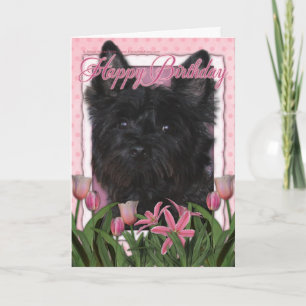 Happy Birthday - Cairn Terrier - Rosco Card
