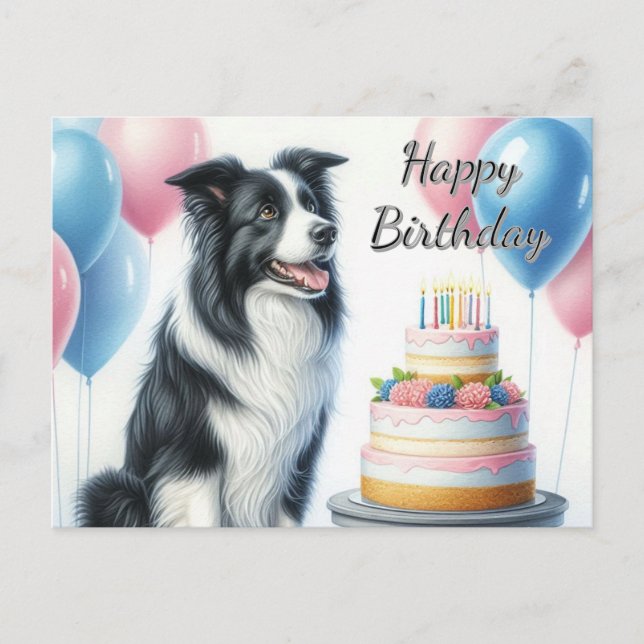 Happy Birthday Cake Balloons Border Collie Postcard (Front)