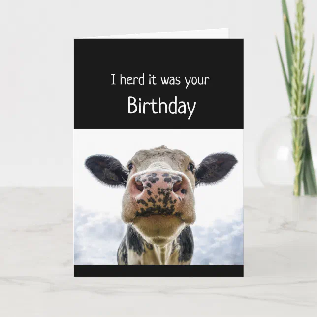 Happy Birthday Cake Sniffing Cow Fun Humor Card | Zazzle