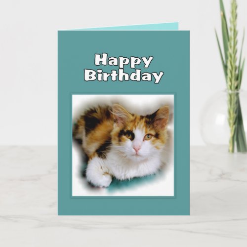 Happy Birthday Calico Cat Card