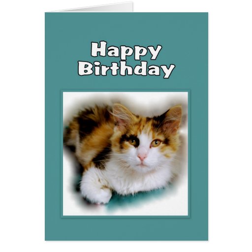 Happy Birthday Calico Cat Card | Zazzle