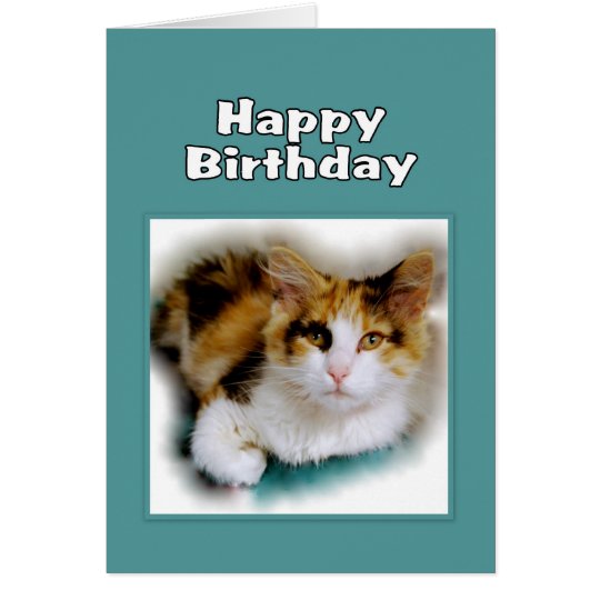 Happy Birthday Calico Cat Card 