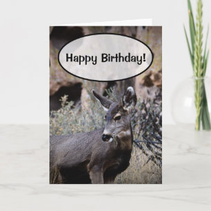 Happy Birthday! Card