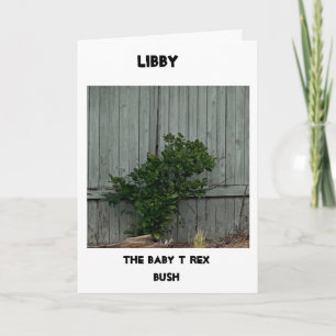 Happy Birthday 🎊🎁🎈  Card