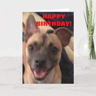 HAPPY BIRTHDAY! CARD