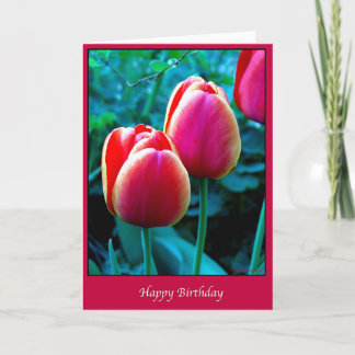 Happy Birthday Card
