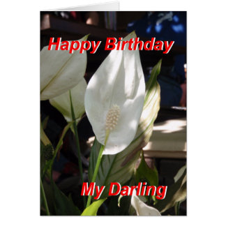 Happy Birthday Card