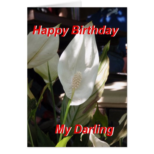 Happy Birthday Card (Front)