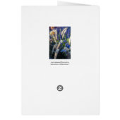 Happy Birthday Card (Back)