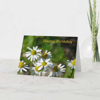 Happy Birthday Card