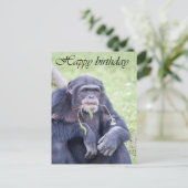 Happy birthday card | Zazzle