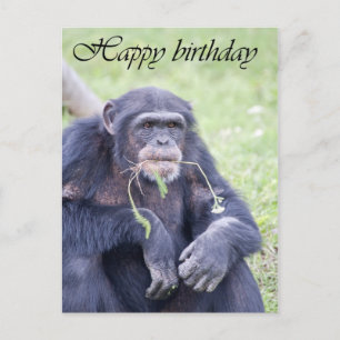 Happy birthday card