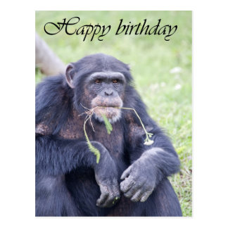 Chimpanzee Birthday Cards - Greeting & Photo Cards | Zazzle
