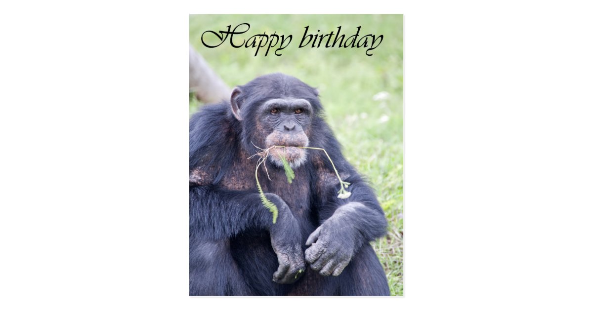 Happy birthday card | Zazzle.com