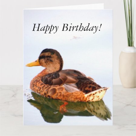 "happy Birthday" Card