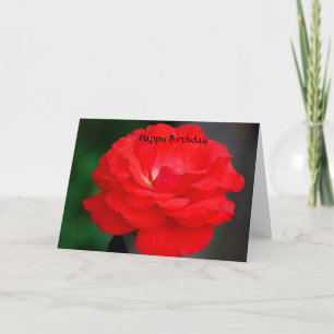Happy Birthday Card
