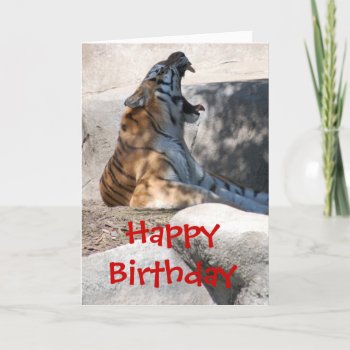 Happy Birthday Card by Incatneato at Zazzle