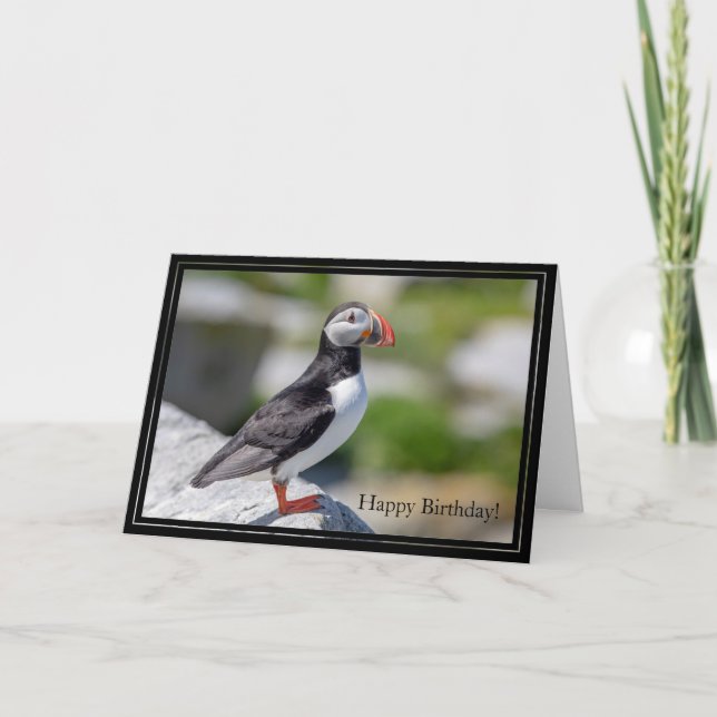 Happy Birthday Card Atlantic Puffin (Front)