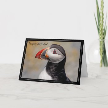 Happy Birthday Card Atlantic Puffin by debscreative at Zazzle