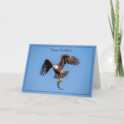 Happy Birthday Card Bald Eagle