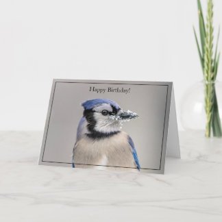Happy Birthday Card Blue Jay