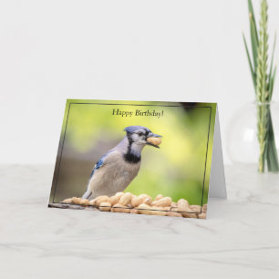 Happy Birthday Card Blue Jay