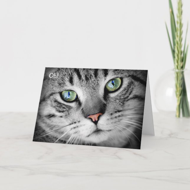 Happy Birthday Card: Cat says "Oh!" Card (Front)