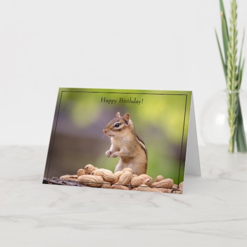 Happy Birthday Card Chipmunk | Zazzle