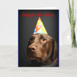 Happy Birthday Card~chocolate Lab Card at Zazzle
