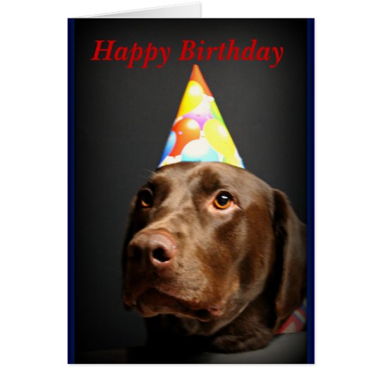 Happy Birthday card~Chocolate Lab Card | Zazzle