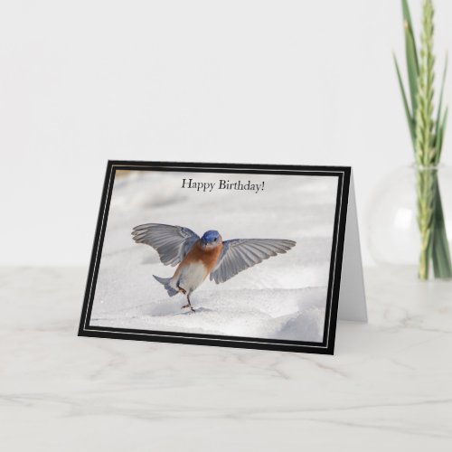 Happy Birthday Card Eastern Bluebird