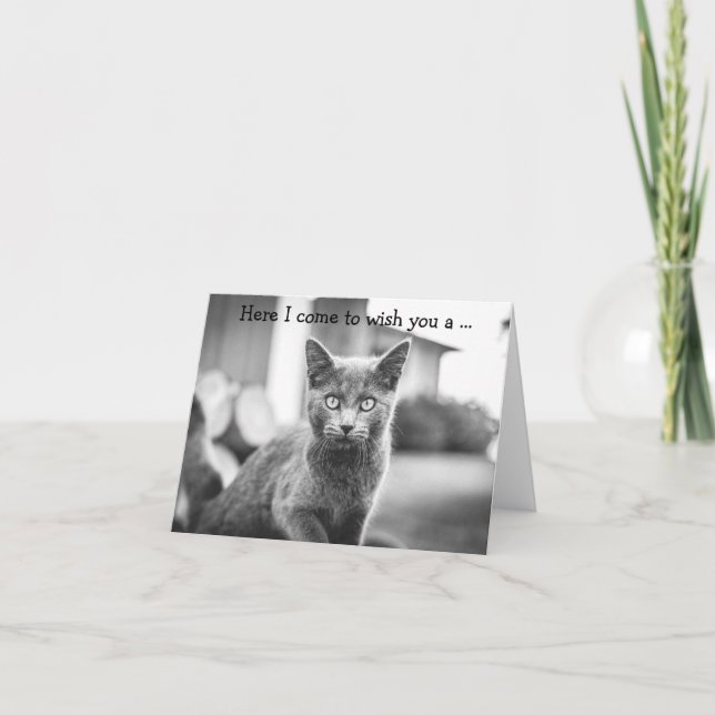 Happy Birthday Card: Gray Cat Card (Front)