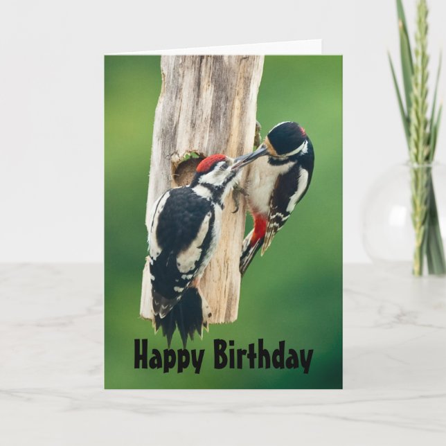 Happy Birthday card great spotted woodpecker (Front)