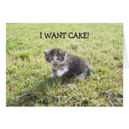 Happy Birthday Card: Kitten wants Cake Card