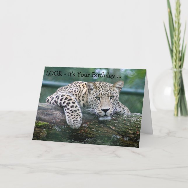 Happy Birthday Card: Leopard looking over a branch Card (Front)