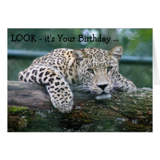 Leopard Happy Birthday Cards | Zazzle