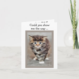 Happy Birthday Card: Lost Kitten Card