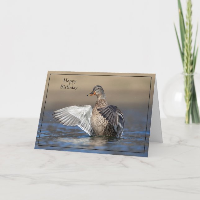 Happy Birthday Card Mallard Duck (Front)