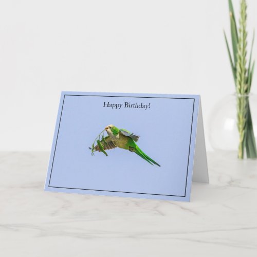 Happy Birthday Card Monk Parakeet