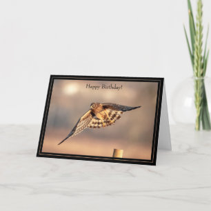 Happy Birthday Card Northern Harrier Hawk