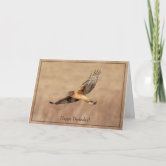 Ferruginous Hawk Prey Hunting Flight Bird Art Card