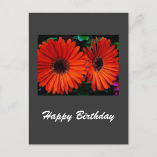 happy birthday card orange color daisy flowers