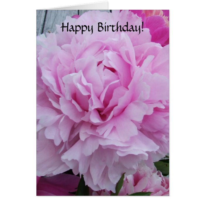 Happy Birthday Card Pink Peonies / Peony Flowers