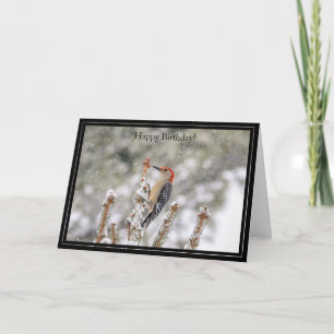 Happy Birthday Card Red-Bellied Woodpecker