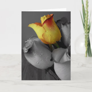 Happy Birthday Card-Rose Card