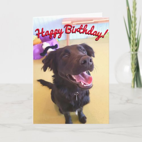 Happy Birthday Card  The Happy Boy