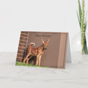 Happy Birthday Card White-Tailed Deer Fawn