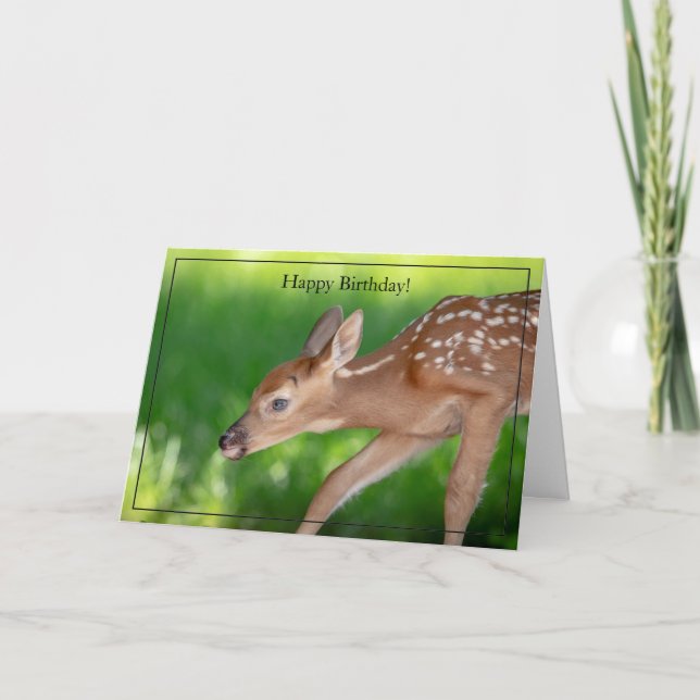 Happy Birthday Card White-Tailed Deer Fawn (Front)